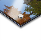 Autumn Beauty Acrylic print