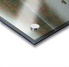 Foggy Autumn lake reflections Acrylic print