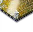 Northern Autumn Serenity Acrylic print