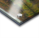 Pensioner Fall Reflections Acrylic print