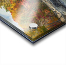 Autumn Mesmerizing Rapids Acrylic print