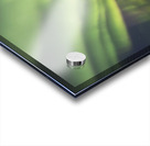 House Boat Aurora Explosion Acrylic print