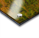 Colebrook Autumn Road Acrylic print