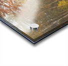 Foggy Morning Autumn Road Acrylic print