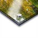 Letchworth Autumn Glow Acrylic print