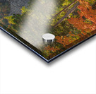 Taughannock Falls Autumn Paradise Acrylic print