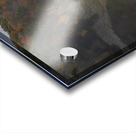 Evening Lights at Middle Falls Acrylic print