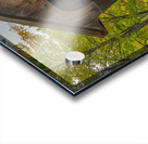 Henniker Covered Bridge Acrylic print