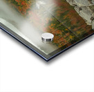 Autumn Morning Vibrancy Acrylic print