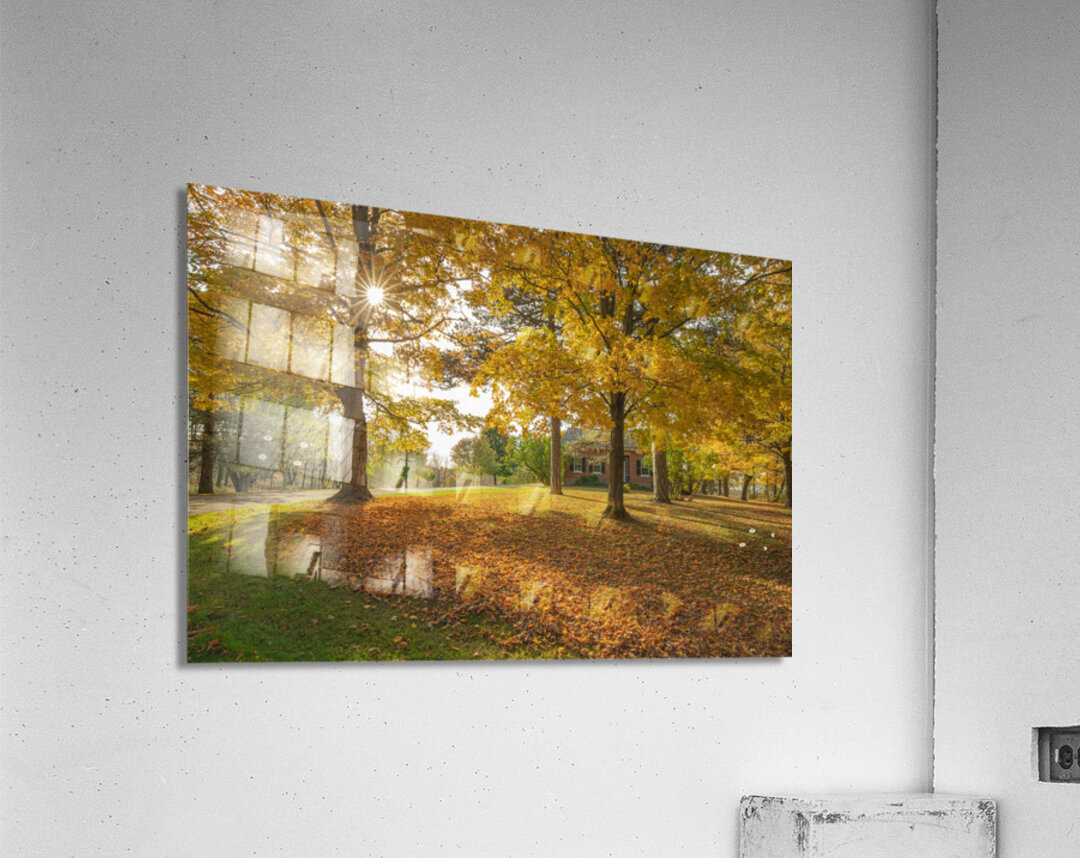 Autumn Glow Acrylic Print