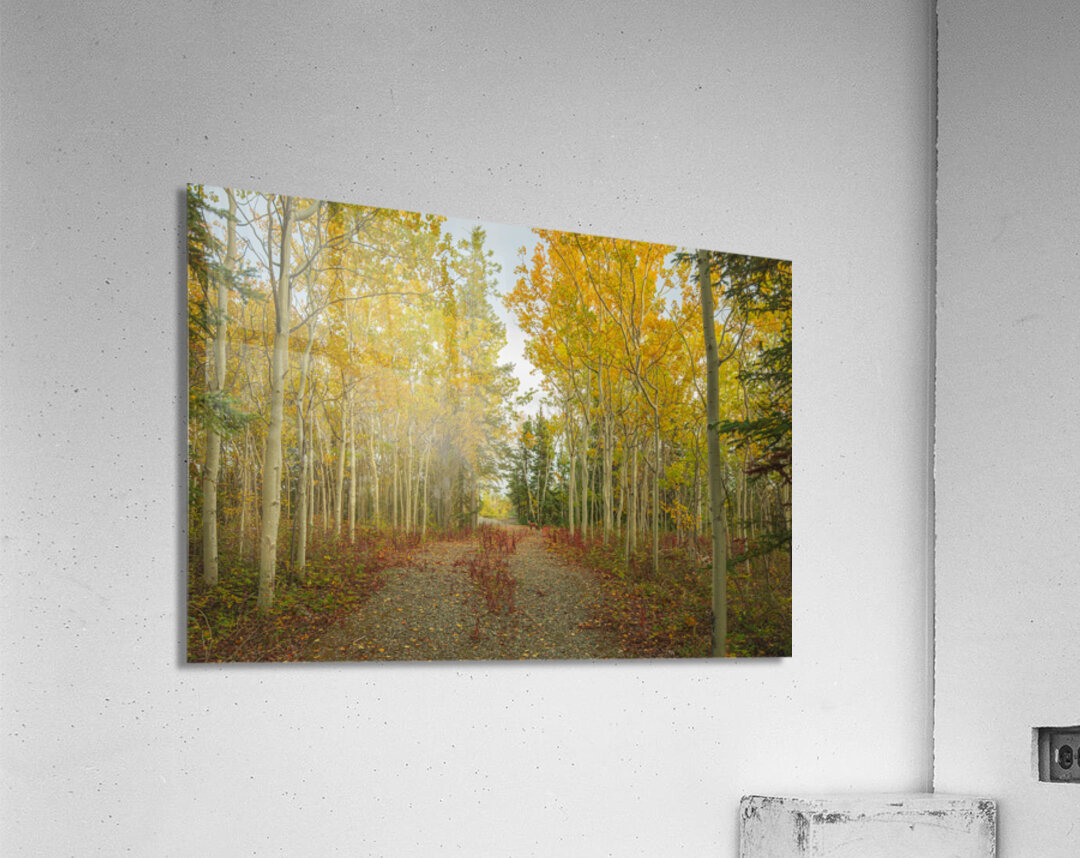 Northern Autumn Serenity Acrylic Print