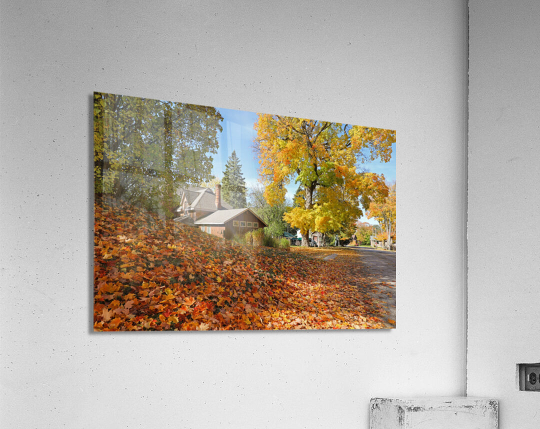 Flesherton Maple Magic Acrylic Print