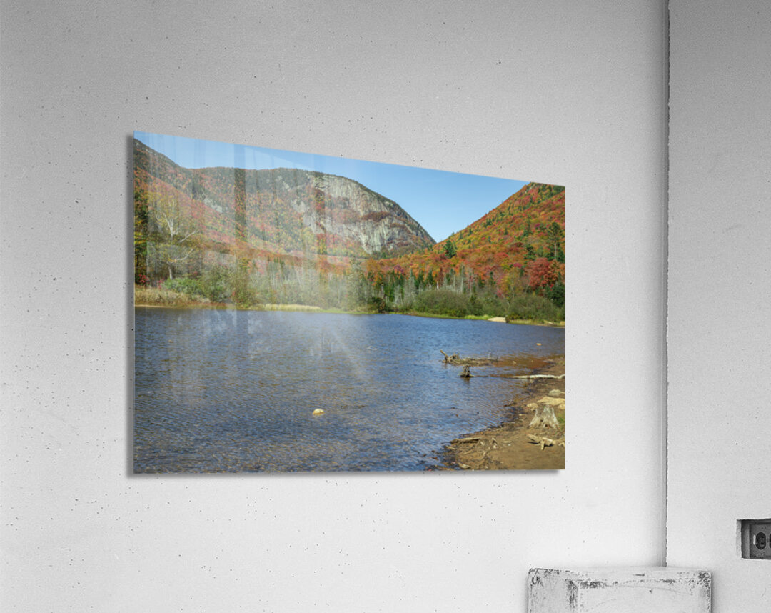 Autumn at Willey Pond Acrylic Print