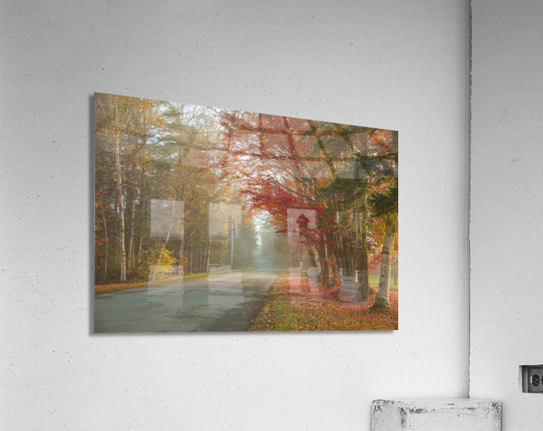 Foggy Morning Autumn Road Acrylic Print