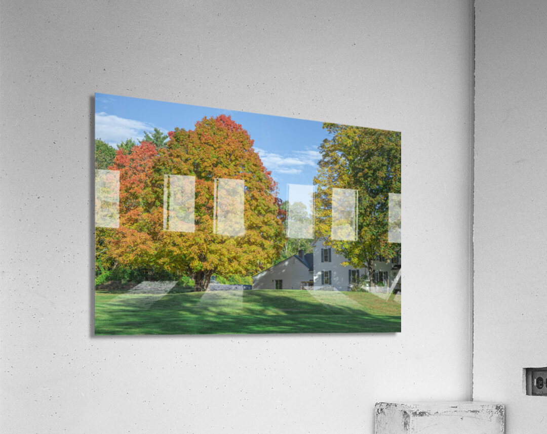 Autumn Maple Magic Acrylic Print