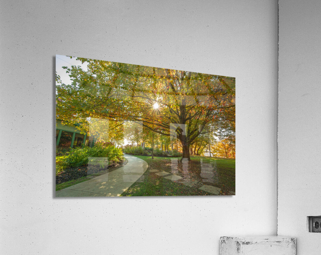 Letchworth Autumn Glow Acrylic Print