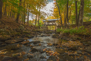 Autumn River Paradise