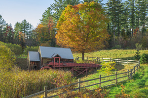 Old Guildhall Grist Mill
