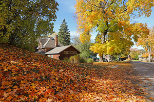 Flesherton Maple Magic