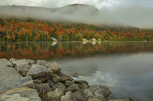 Autumn Morning Vibrancy