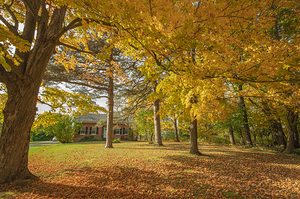 Rural Niagara Autumn Residence