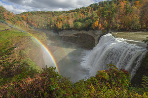 Autumn Letchworth Wonderland
