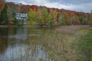 Saint Sophie Autumn Vibrancy