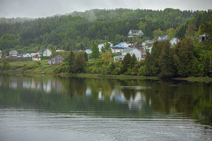 Foggy Spring Morning refections