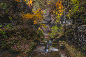 Autumn Gorge Paradise