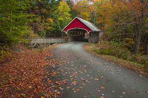 Magical Autumn Path to Bridge