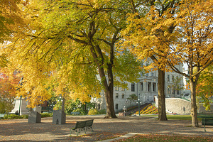 Autumn Splash in Quebec City