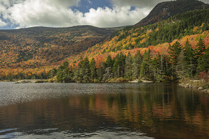 Kinsman Notch Beaver Pond Reflections