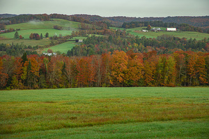Barnet Autumn Rolling Hills