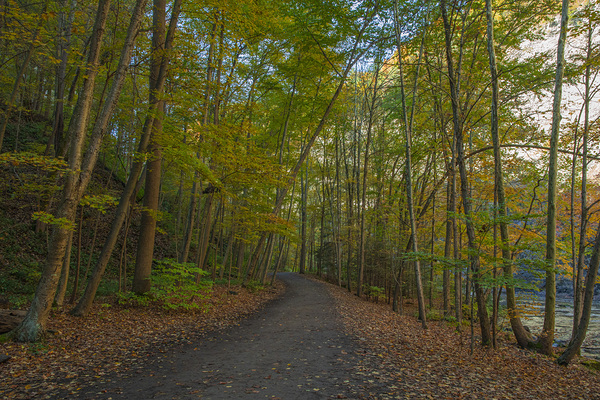 Taughannock Falls Forest Trail Print
