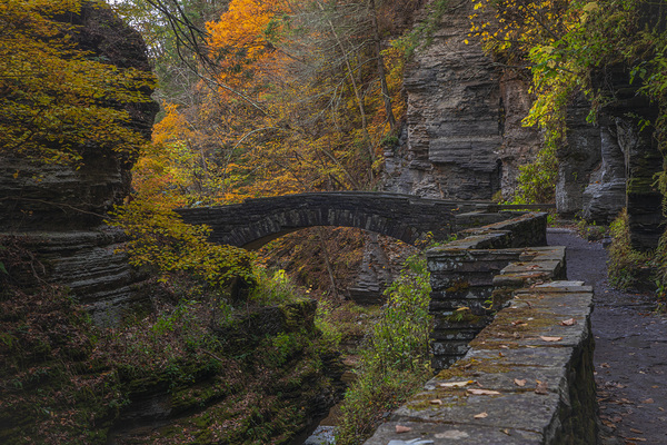 Autumn Fantasy Bridge Print