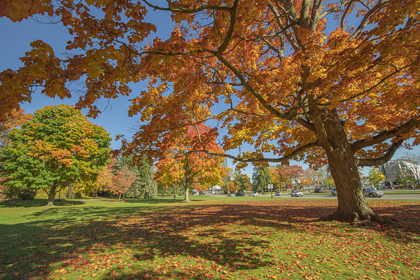 Niagara falls Autumn Magic by Daniel Pekar Photography