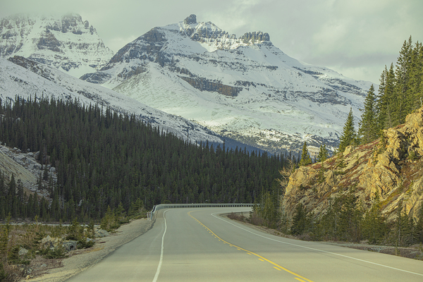 Mountain Road in Banff National park by Daniel Pekar Photography
