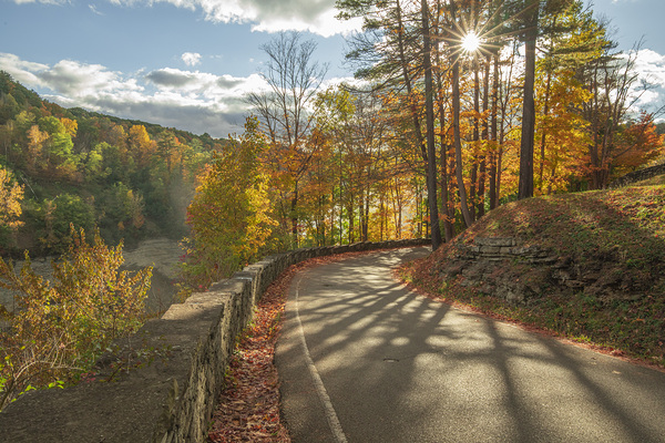 Letchworth Autumn Road Evening Glow by Daniel Pekar Photography