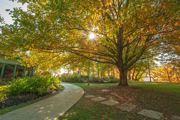 Letchworth Autumn Glow by Daniel Pekar Photography