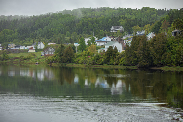 Foggy Spring Morning refections by Daniel Pekar Photography