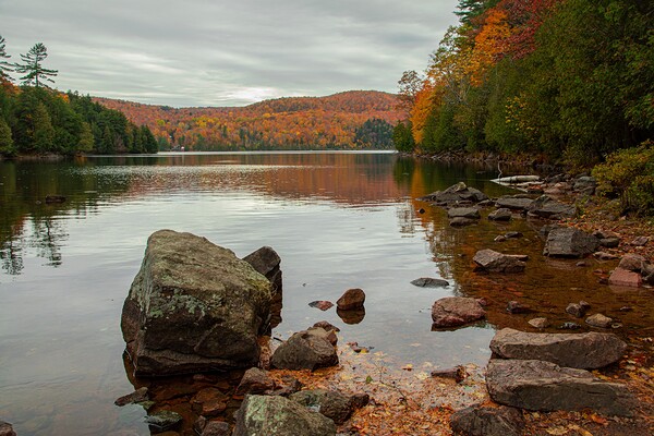 Meech lake Autumn reflections by Daniel Pekar Photography