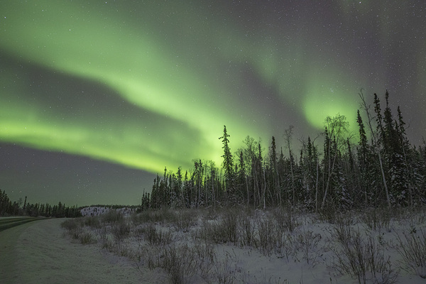 Ingraham Aurora Ribbons Print