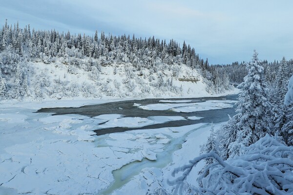 Lady Evelyn Winter Wonderland by Daniel Pekar Photography