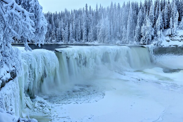 Magical Frost at  Lady Evelyn Falls by Daniel Pekar Photography