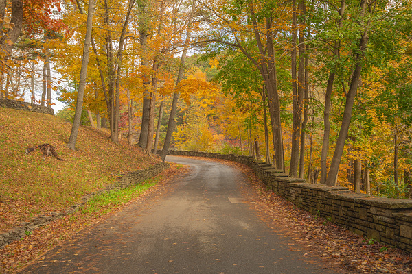Letchworth Autumn Road to Paradise by Daniel Pekar Photography