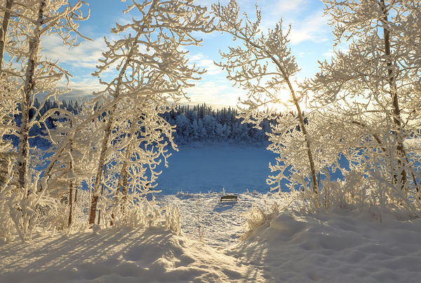 Winter Magic by Daniel Pekar Photography