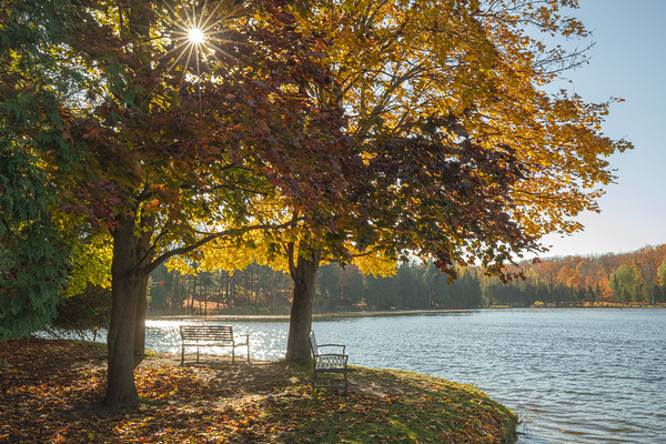 Eugenia Lake sunburst Print