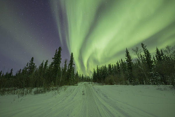 Light up the path by Daniel Pekar Photography