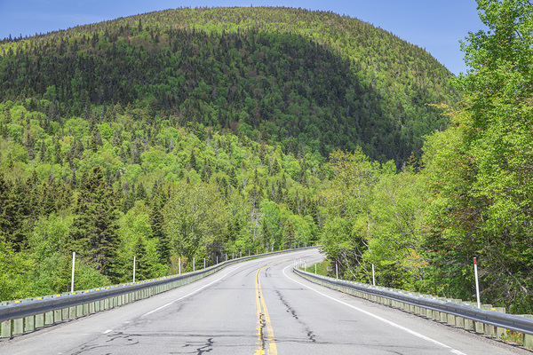 Mountain Road in Forillon National park by Daniel Pekar Photography