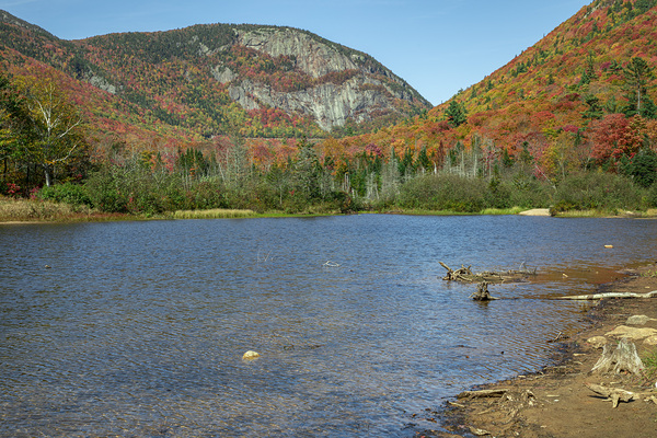 Autumn at Willey Pond by Daniel Pekar Photography
